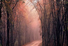 爱游戏新闻-捷克联赛擂台竞技，体育热情高涨的简单介绍