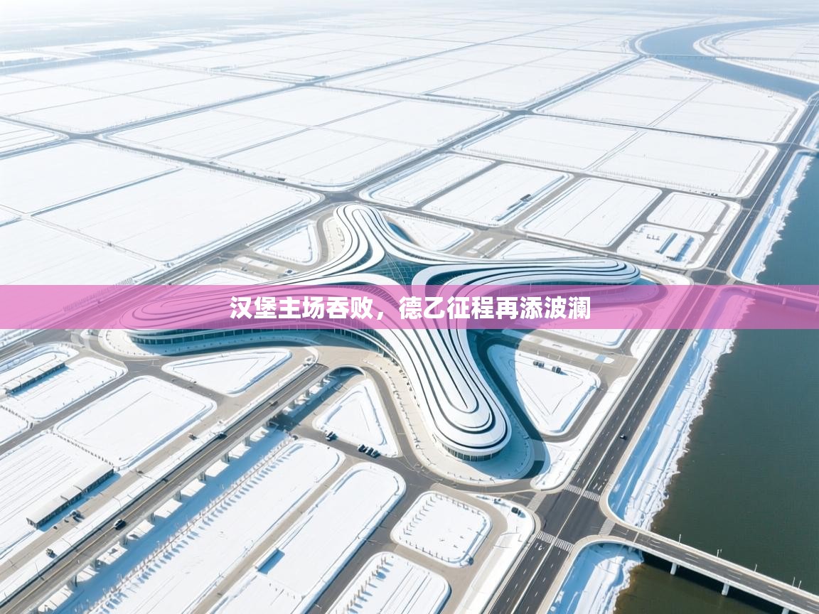 汉堡主场吞败，德乙征程再添波澜  第1张